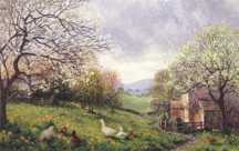 Damson Blossom
